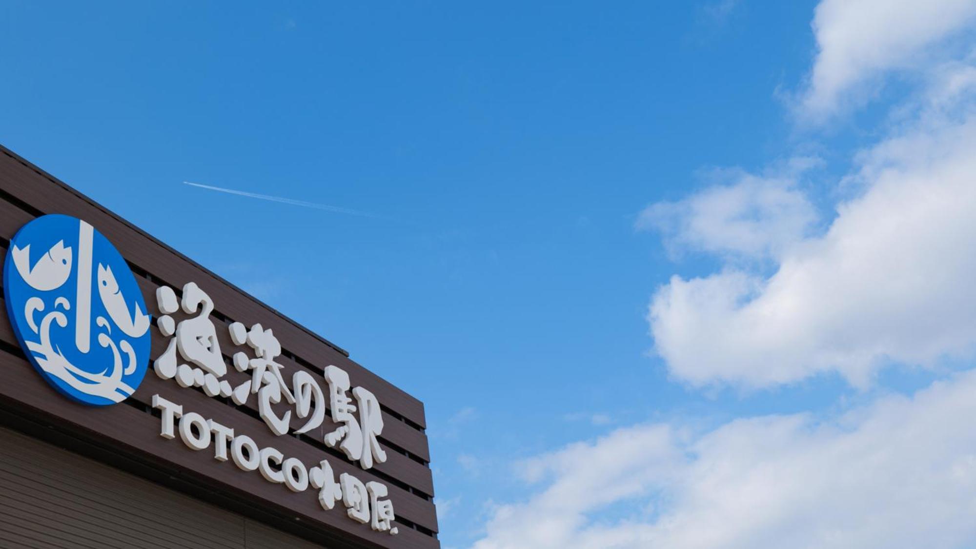 Toyoko Inn Odawara Eki Higashi Guchi Экстерьер фото